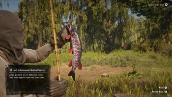 Legendary Redfin Pickerel