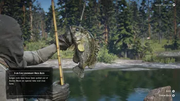 Legendary Rock Bass