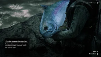 Legendary Steelhead Trout Location