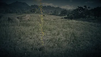 Legendary Tatanka Bison First Clue