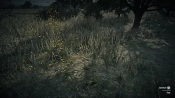 Legendary Tatanka Bison Third Clue