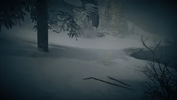 Legendary White Bison Third Clue