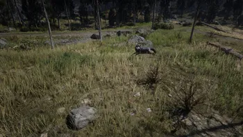 Legendary Wolf