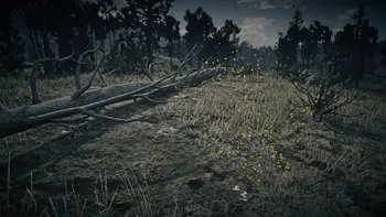 Legendary Wolf First Clue