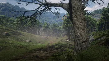 Annesburg Crossing Dreamcatcher