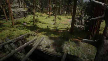 Bear Claw Online Hideout