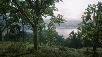 Roanoke Ridge Hill Dreamcatcher