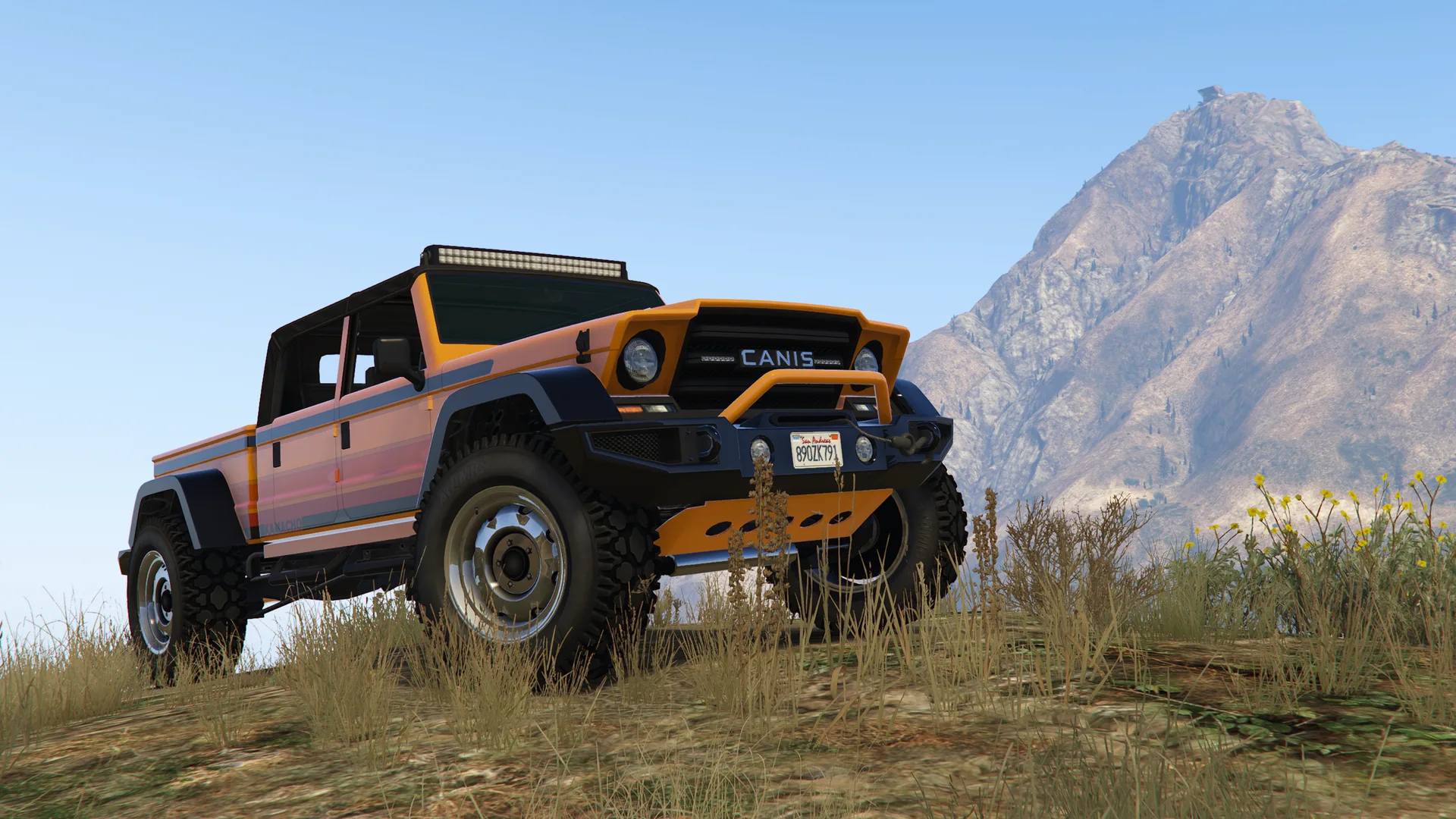Canis Kamacho