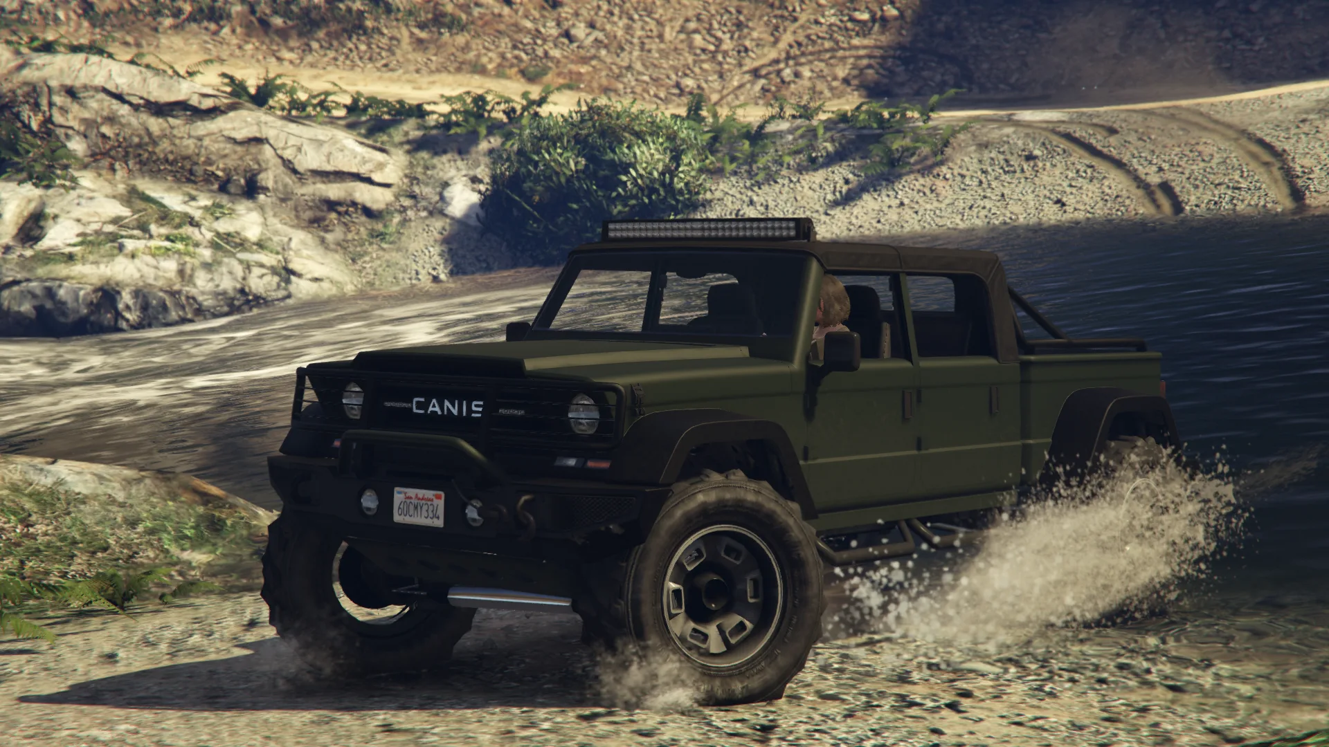 Canis Kamacho