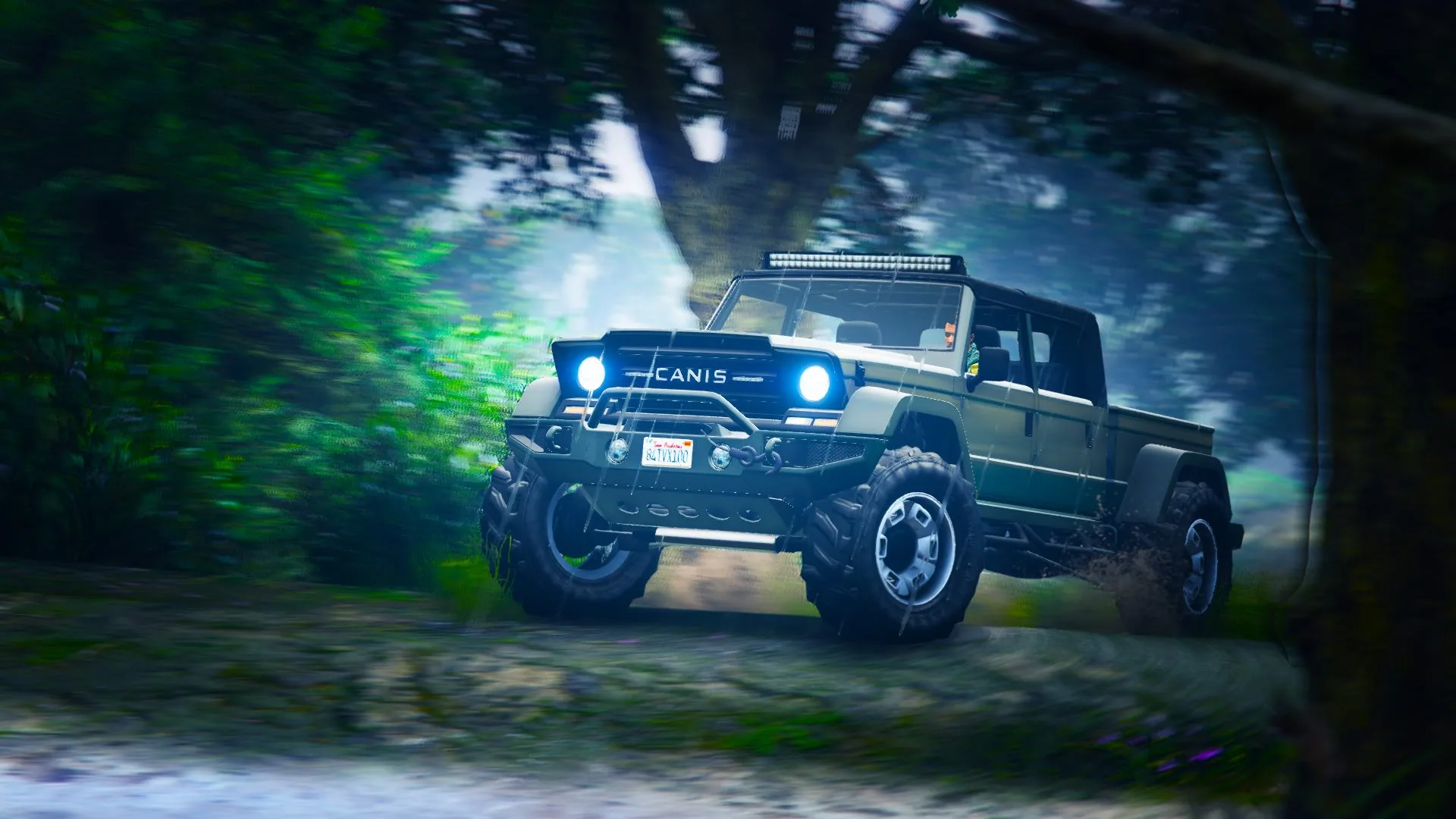 Canis Kamacho