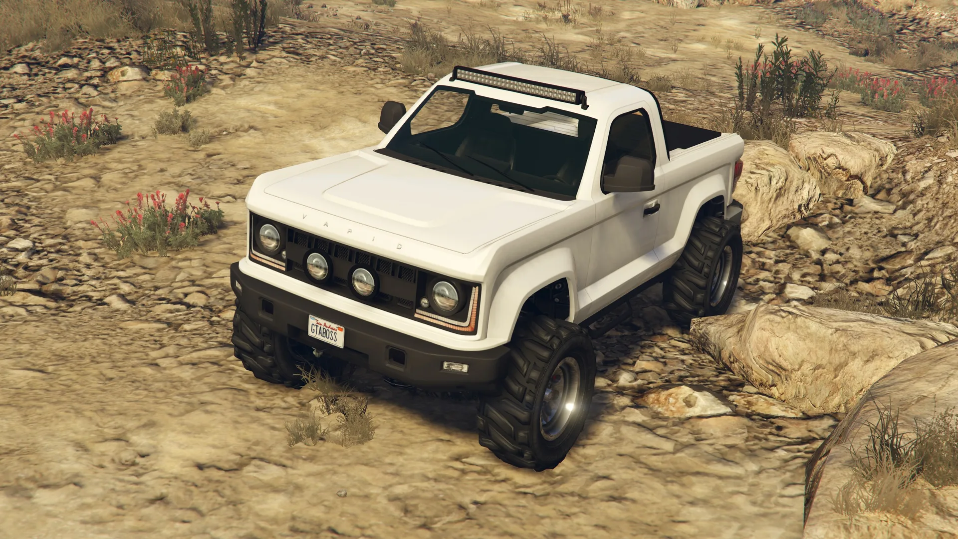 Vapid Riata