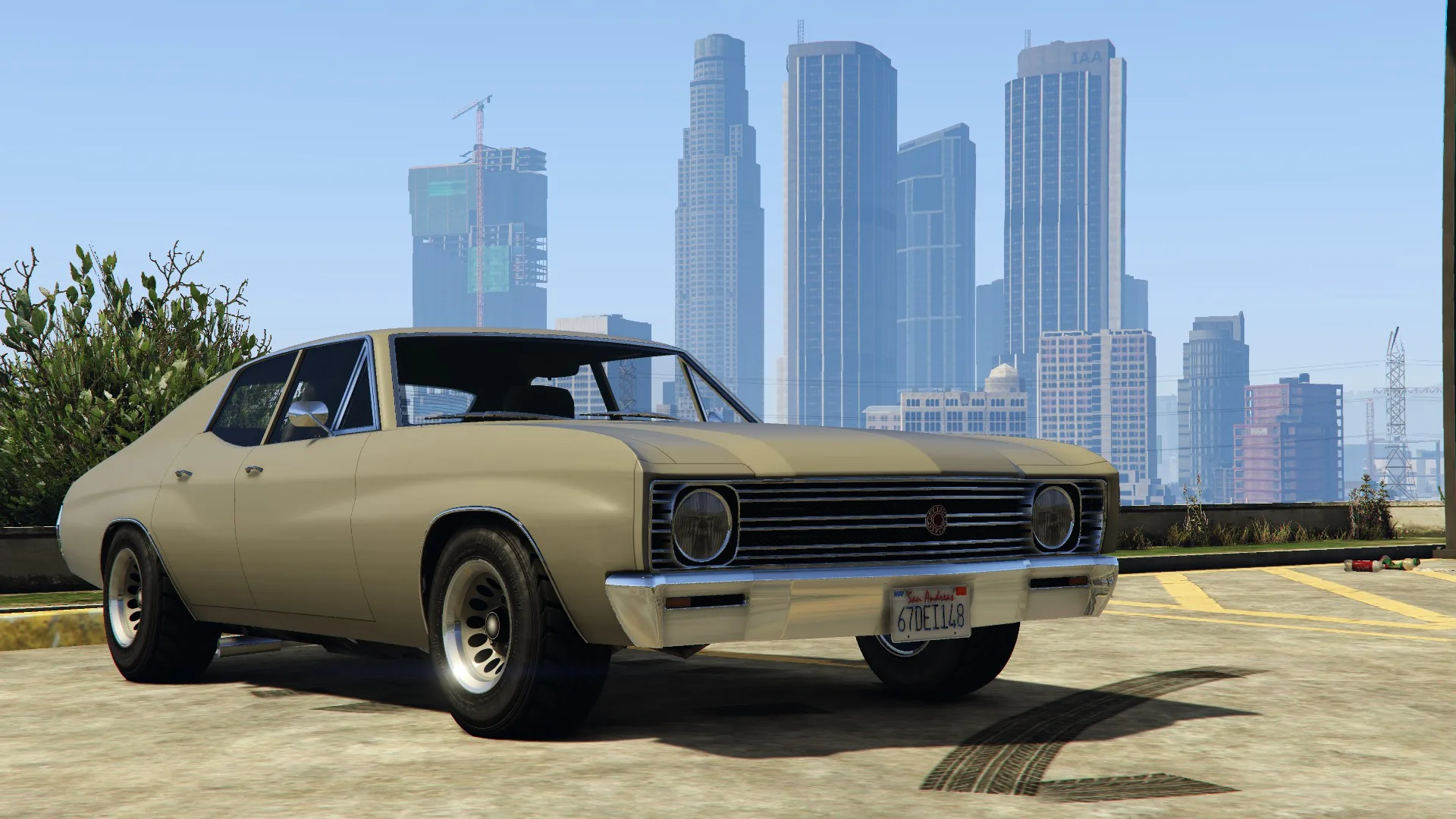 Declasse Tulip